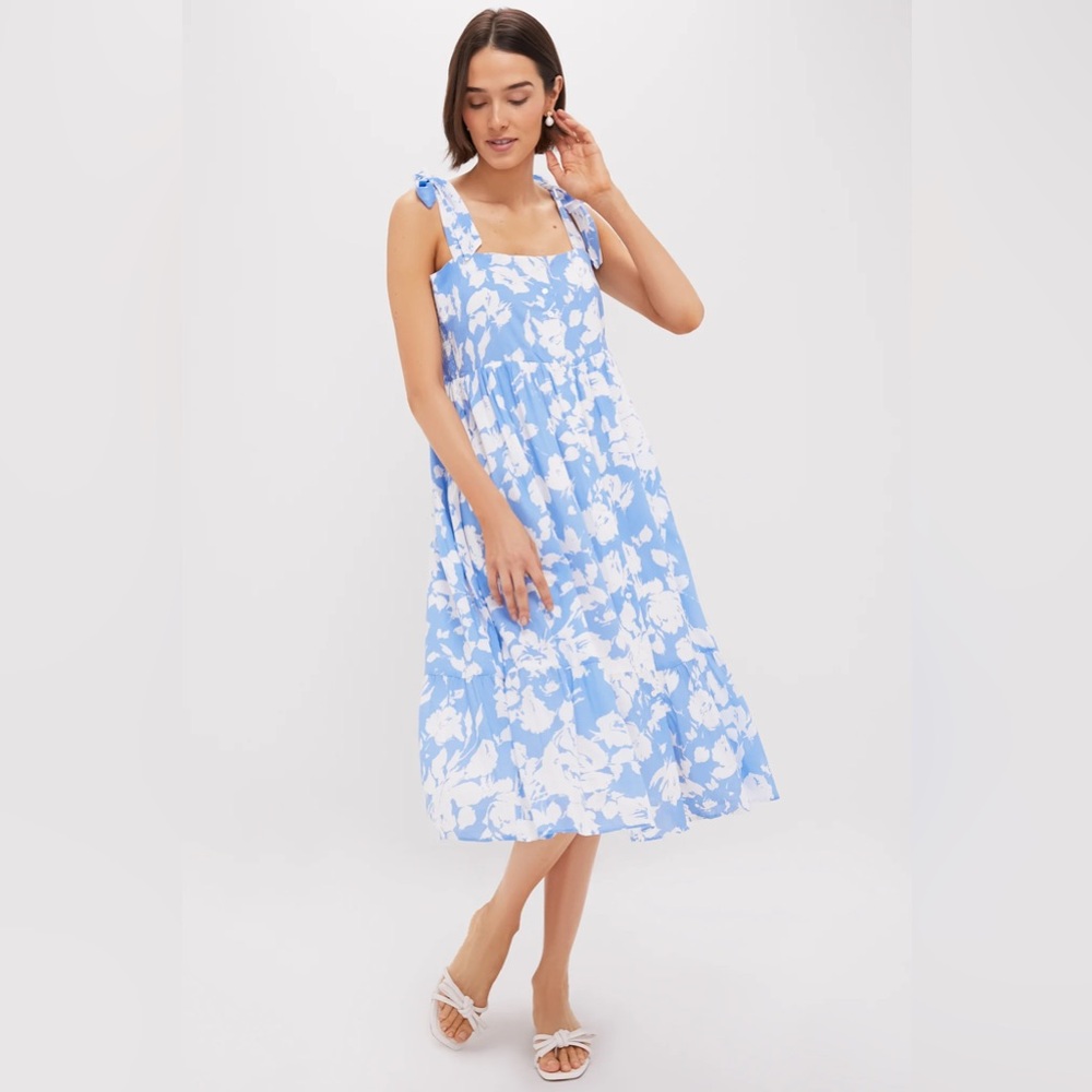Tuckernuck Hyacinth House Blue and White Dress - Picture 2 of 11